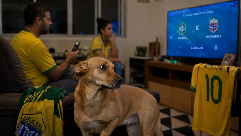Brasil x Noruega hoje: o sinal que mostra que seu cachorro já sentiu o jogo antes de você