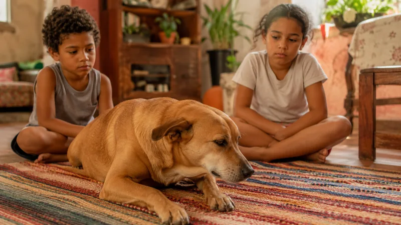 Crianças e cachorro o dia todo juntos: como evitar estresse, rosnado e acidente