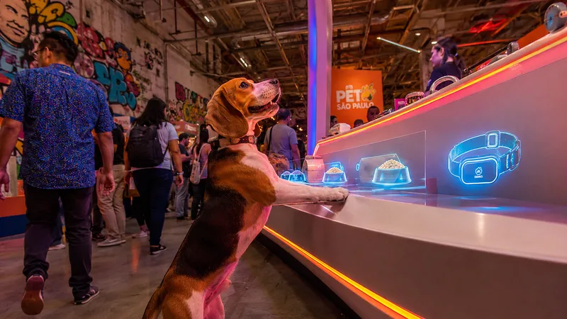 PETSA 2026: 5 tendências do mercado pet que devem chegar primeiro à rotina dos cães